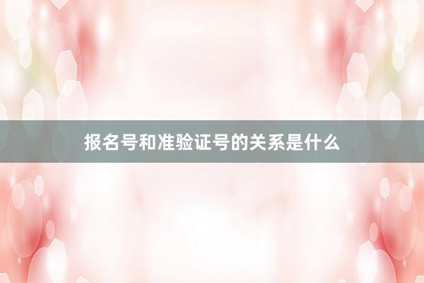 报名号和准验证号的关系是什么