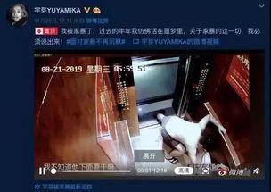 网红家庭爆料视频  第3张