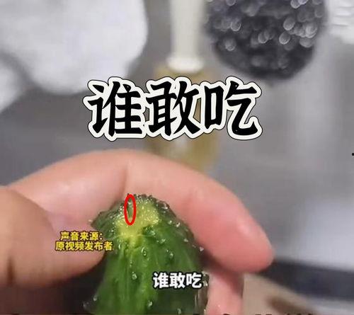 最新黄瓜爆料视频大全在线观看,最新热门瞬间,一网打尽! 第3张 最新黄瓜爆料视频大全在线观看,最新热门瞬间,一网打尽! 第3张
