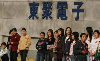 东莞爆料最新新闻今天,聚焦城市动态与民生焦点  第3张