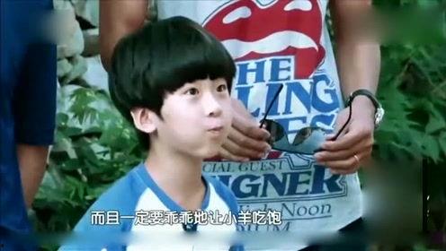 娱乐八卦爆料小鬼视频,娱乐八卦背后的真相揭秘  第3张
