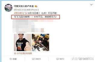马飞爆料卢本伟了吗视频,揭秘直播圈惊人真相  第3张