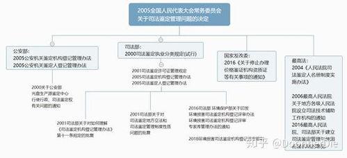 司法鉴定爆料流程视频,视频解析背后的真相
