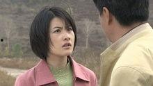 电视剧绿野在线观看,穿越时空的奇幻之旅