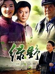 电视剧绿野在线观看,穿越时空的奇幻之旅  第2张