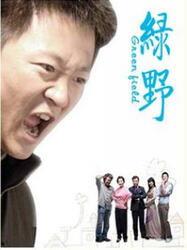 电视剧绿野在线观看,穿越时空的奇幻之旅  第3张