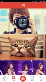 熊猫人的爆料视频大全集,揭秘娱乐圈幕后真相
