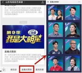 综艺频道直播在线观看,尽享精彩瞬间