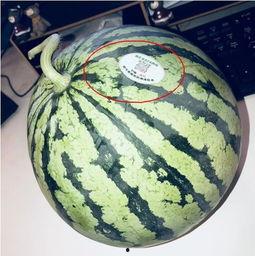 巧乐兹网红吃瓜怎么了,揭秘背后真相与争议