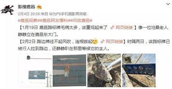 鹿邑最新爆料事件视频