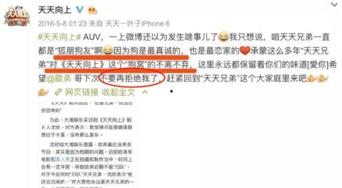 娱乐圈爆料100例,明星背后的真实故事 第2张 娱乐圈爆料100例,明星背后的真实故事 第2张