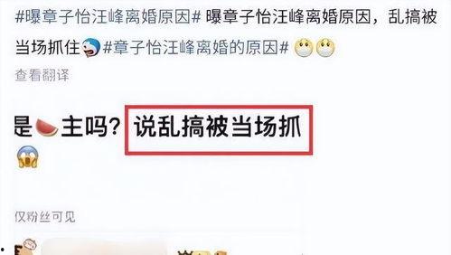 刘大锤最新爆料tnt,TNT全新爆料，带你领略科技前沿魅力  第3张