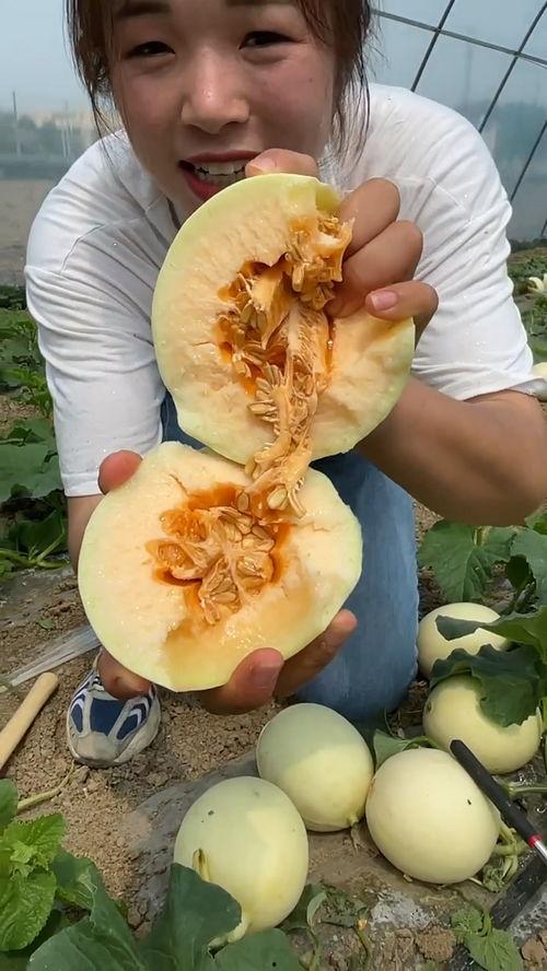 小香瓜视频爆料大全最新,揭秘娱乐圈最新热点事件 第2张 小香瓜视频爆料大全最新,揭秘娱乐圈最新热点事件 第2张