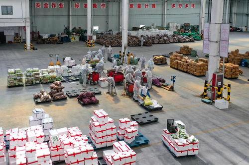 爆料长春买菜事件视频,视频揭露惊人真相，引发社会热议  第2张