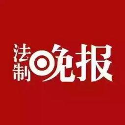山东趣事新闻爆料热线,捕捉民间欢乐瞬间 第2张 山东趣事新闻爆料热线,捕捉民间欢乐瞬间 第2张
