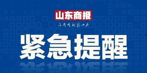 山东趣事新闻爆料热线,捕捉民间欢乐瞬间 第3张 山东趣事新闻爆料热线,捕捉民间欢乐瞬间 第3张