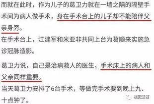 网红吃瓜群众话题作文,揭秘网络舆论场的众生相 第3张 网红吃瓜群众话题作文,揭秘网络舆论场的众生相 第3张