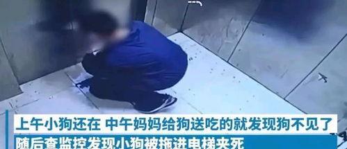 雅戈小男孩爆料视频大全,揭秘幕后真相 第2张 雅戈小男孩爆料视频大全,揭秘幕后真相 第2张