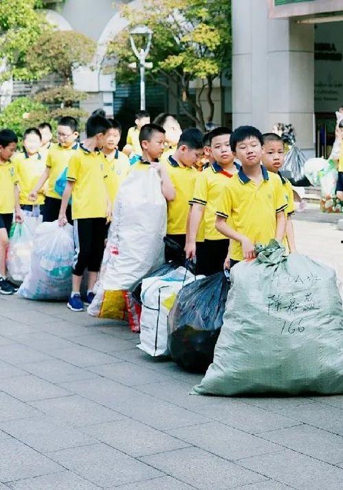 宁波小学爆料事件最新,揭开校园安全与管理的隐秘面纱 第3张 宁波小学爆料事件最新,揭开校园安全与管理的隐秘面纱 第3张