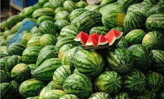 陇南网红二饼吃瓜事件,揭秘网络红人的争议瞬间 第3张 陇南网红二饼吃瓜事件,揭秘网络红人的争议瞬间 第3张
