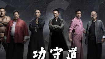 功守道电影在线观看,探寻武术与哲学的完美融合 第2张 功守道电影在线观看,探寻武术与哲学的完美融合 第2张