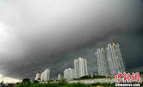 中国台风最新爆料新闻,多路径影响沿海地区，防御措施升级中”