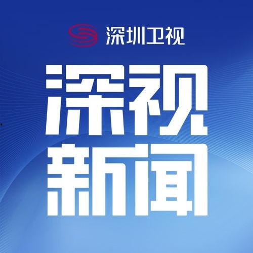 深圳市电视台爆料新闻,重大新闻事件深度解析