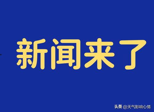 新疆热门爆料新闻最新消息,神秘事件引发热议,真相即将揭晓! 第2张 新疆热门爆料新闻最新消息,神秘事件引发热议,真相即将揭晓! 第2张