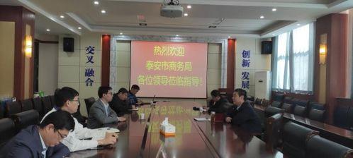 泰安商务局最新爆料,揭秘产业升级与投资新动向  第2张