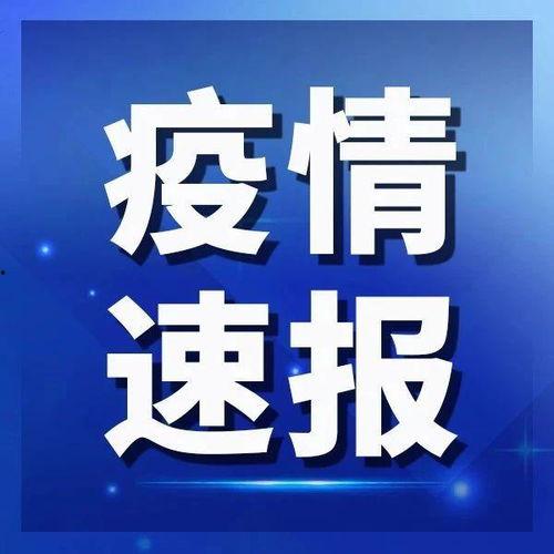 海洋最新爆料新闻视频下载,神秘视频揭示深海奥秘  第3张