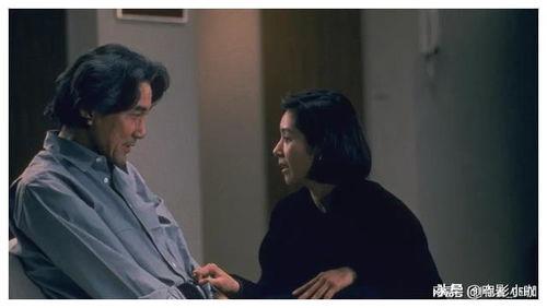 伦理在线电影免费观看  第2张