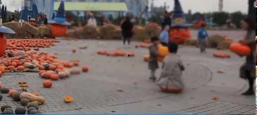 南瓜游乐场爆料视频,惊险刺激的奇幻之旅大揭秘！  第3张