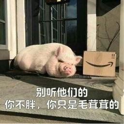 娱乐吃瓜酱猪猪视频,揭秘热门视频背后的趣味故事  第2张