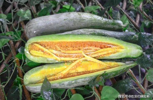 恩施网红吃瓜事件,揭秘网络舆论的风暴与真相  第2张