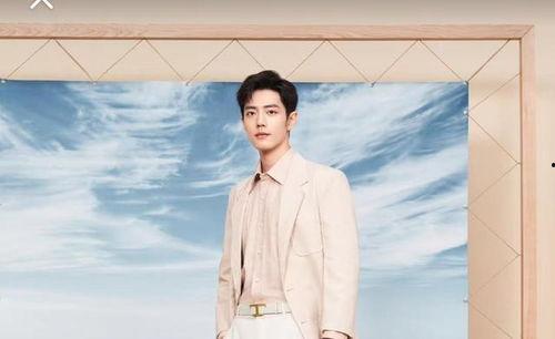 肖战八卦最新爆料,最新八卦爆料揭秘背后真相