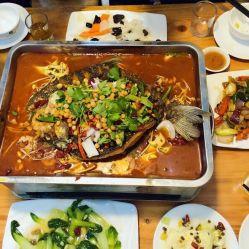 亮哥美食爆料视频大全,视频大全带你领略各地美食风情 第2张 亮哥美食爆料视频大全,视频大全带你领略各地美食风情 第2张