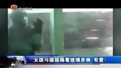 玻璃最新爆料新闻视频,揭秘科技巨头最新研发突破  第2张