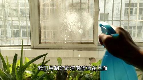 玻璃最新爆料新闻视频,揭秘科技巨头最新研发突破  第3张