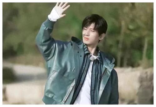 娱乐圈爆料成毅,娱乐圈爆料背后的真实人生  第2张